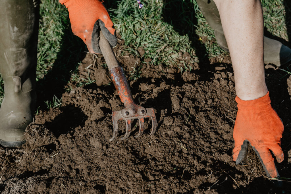 Soil rich in plant food elements.