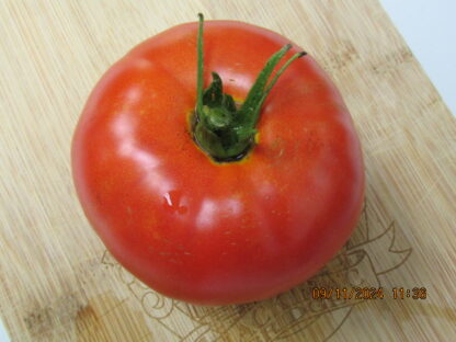 Heirloom Beefsteak Red Tomato