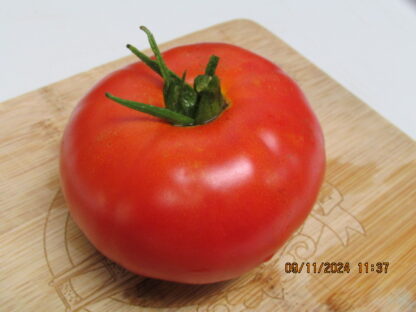 Heirloom Beefsteak Red Tomato