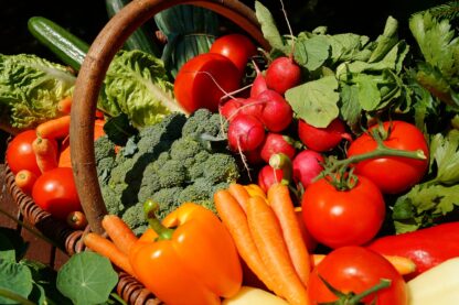 Vegetable Garden in September