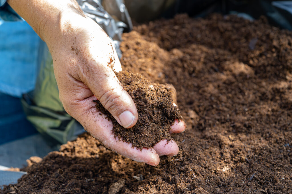 Composting in Fall: How to Make the Most of Fallen Leaves and Garden Waste