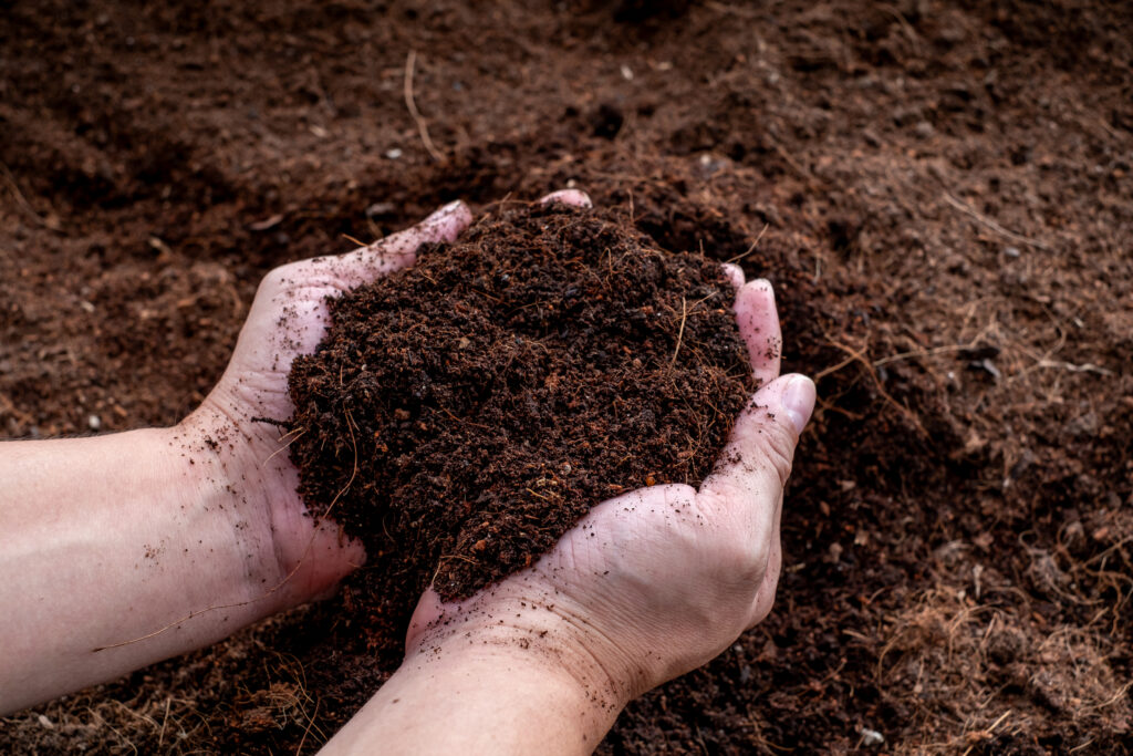 Composting in Fall: How to Make the Most of Fallen Leaves and Garden Waste