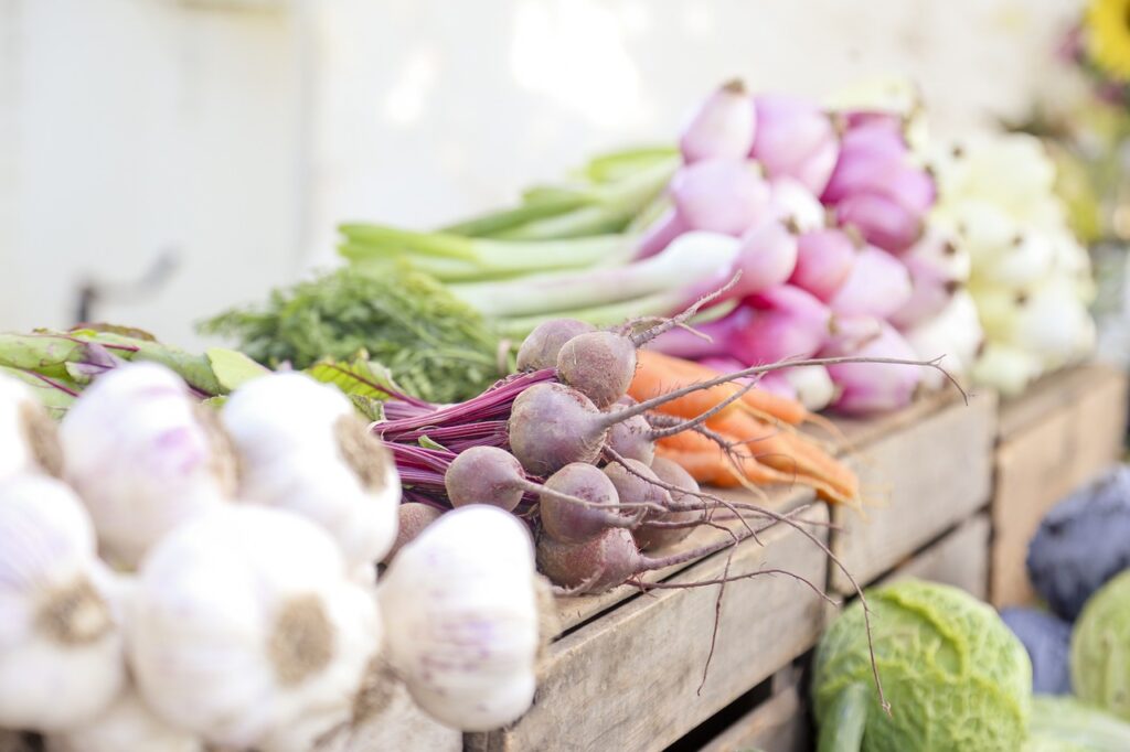 Harvesting Fall Vegetables - St. Clare Heirloom Seeds