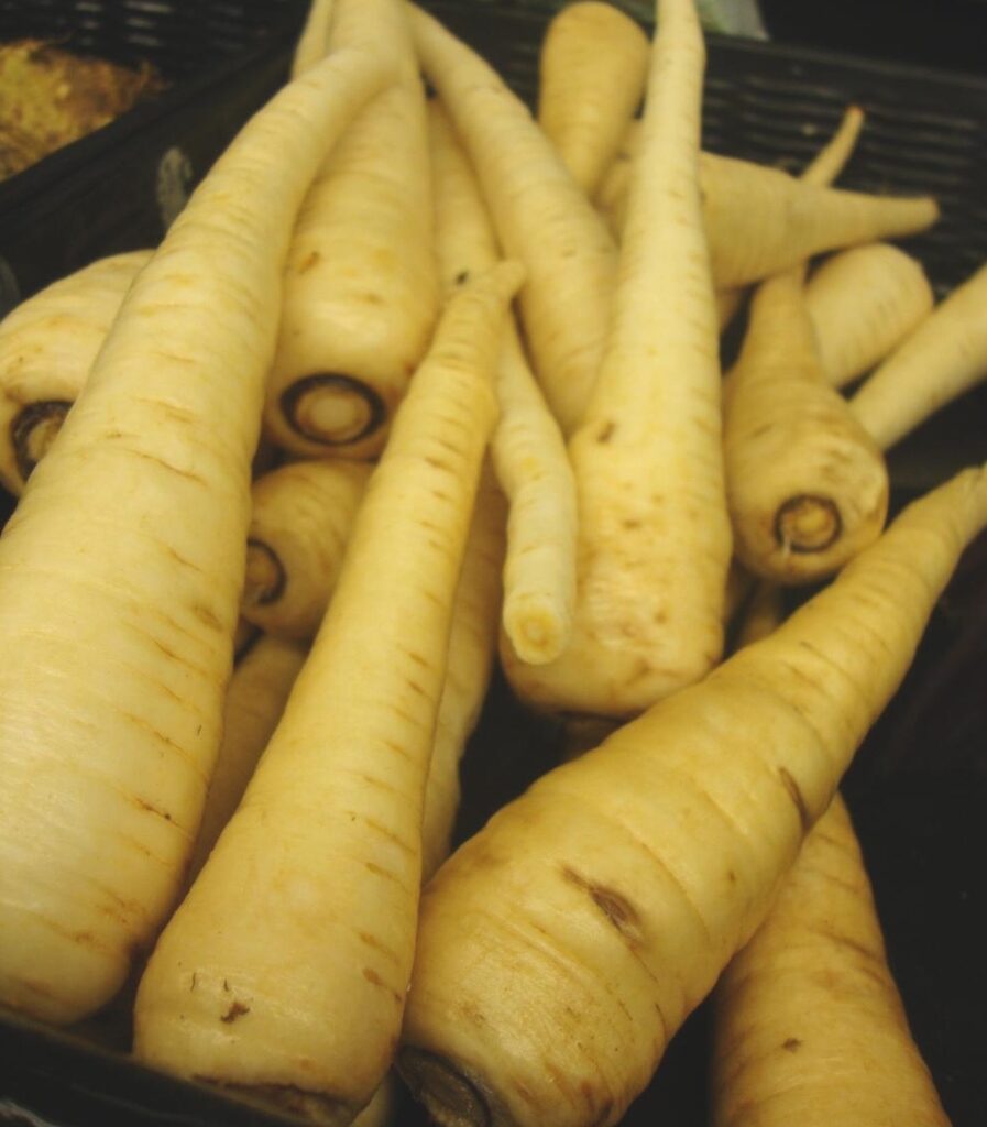 Heirloom Parsnip Planting Guide: From Seed to Harvest