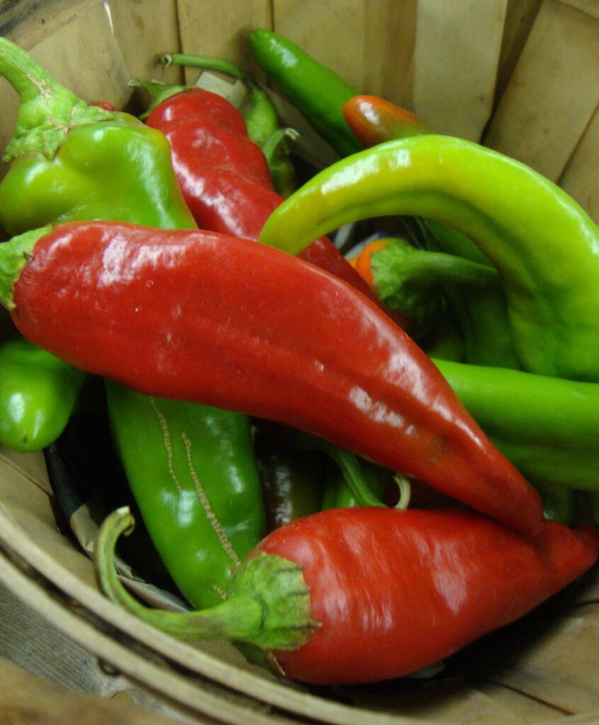 Heirloom Hot Pepper Planting Guide: From Seed to Harvest