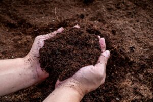 Composting in Fall: How to Make the Most of Fallen Leaves and Garden Waste